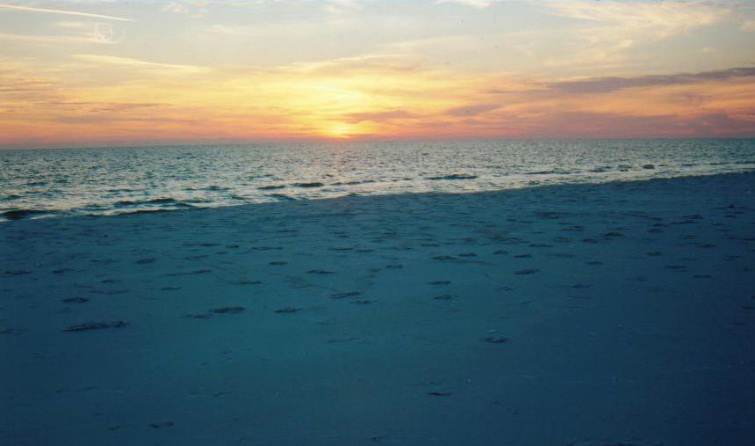 Warm my cold hand and we won't need the sun, with you in my heart my long journey is done>>>