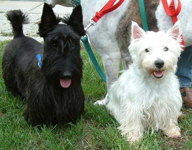 Racial Harmony>>>