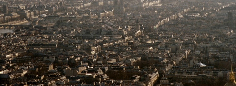 Notre Dame Cathedral from the top of Eiffel Tower