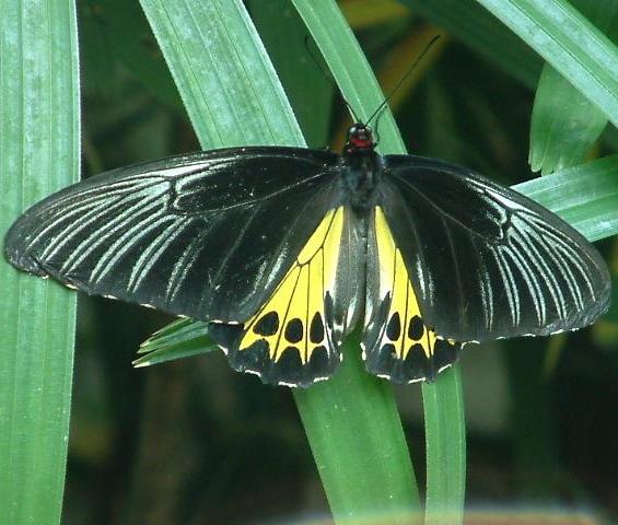 Please no pictures!  I just came out of the cocoon I look awful!>>>