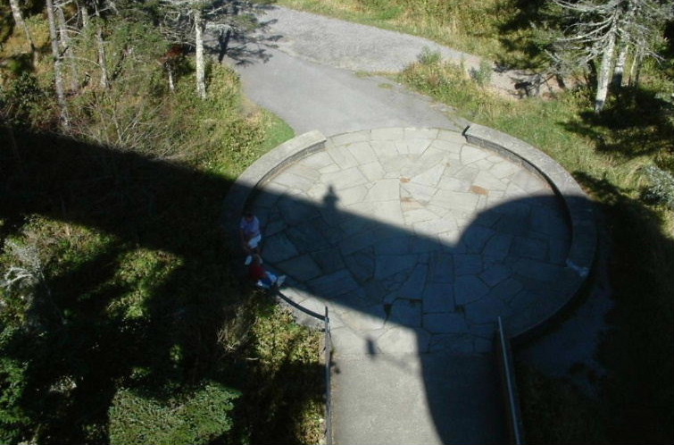Shadow of a horsey>>>