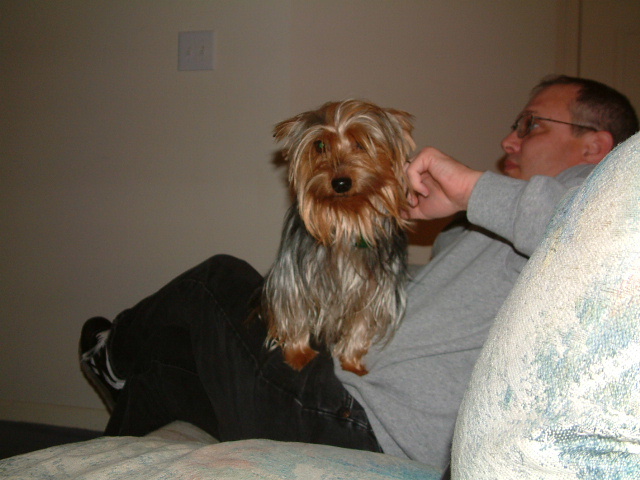 Here at Gizmo's Spa, you can get a neck rub...>>>