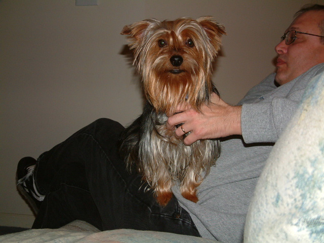 You can have your chest scratched...>>>