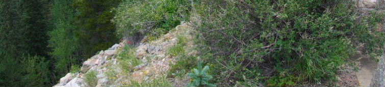 close-up of first ten miles of climb