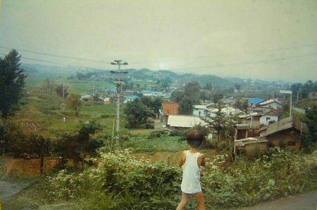 No folks, that little boy isn't wearing pants>>>