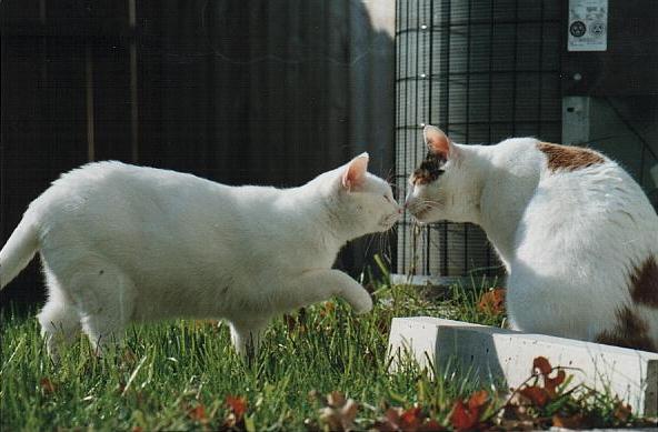 I'm sorry I tried to kill you...let's tongue each other>>>