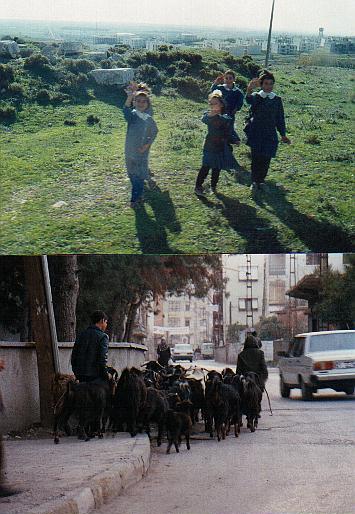 Children on a hill, Kids in the street, and wells for the wishing>>>