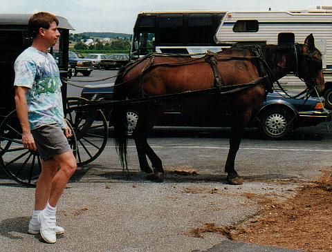 Amish horse and Michael cut up in Lancaster>>>