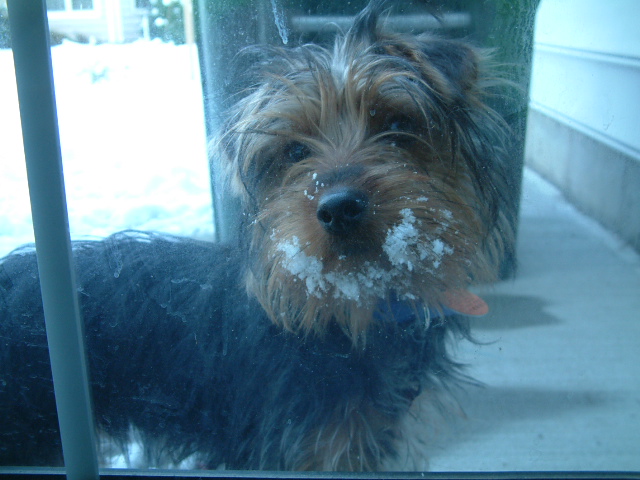 Snow?  What snow?>>>